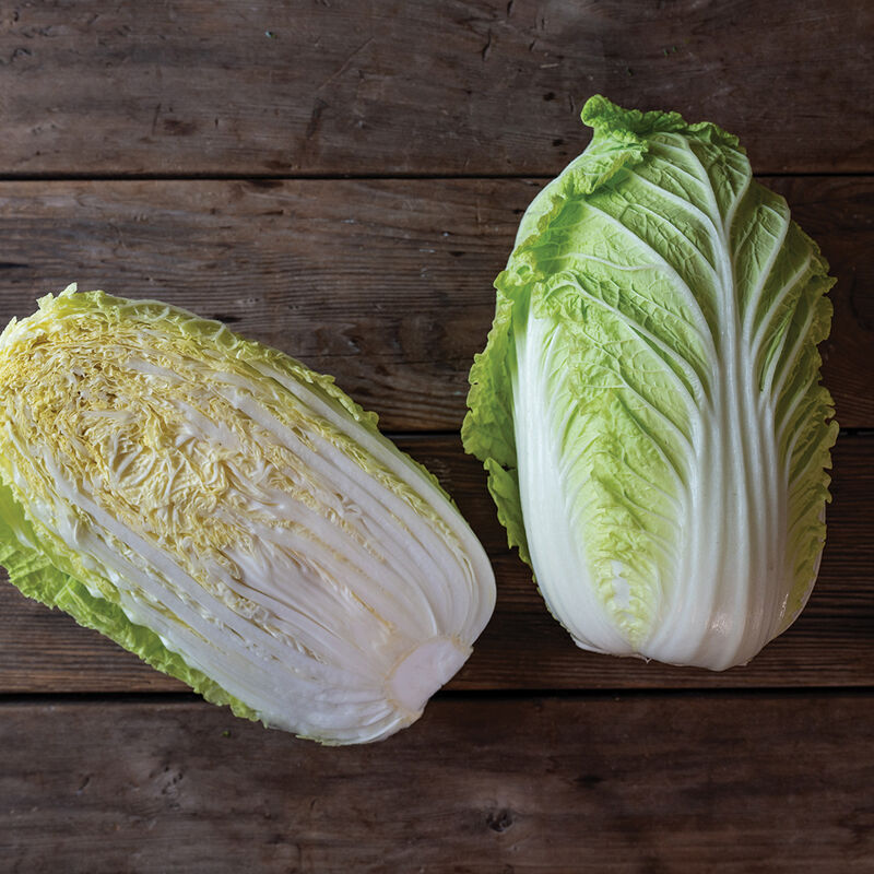 Haku – Chinese Cabbage Seed